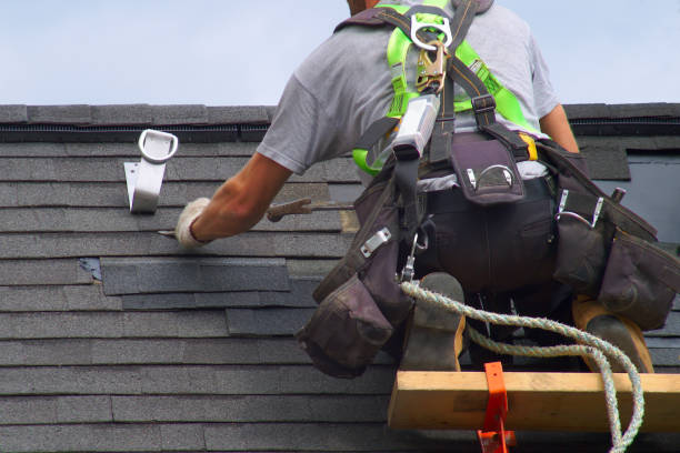 Roof Gutter Cleaning in Annapolis, MD
